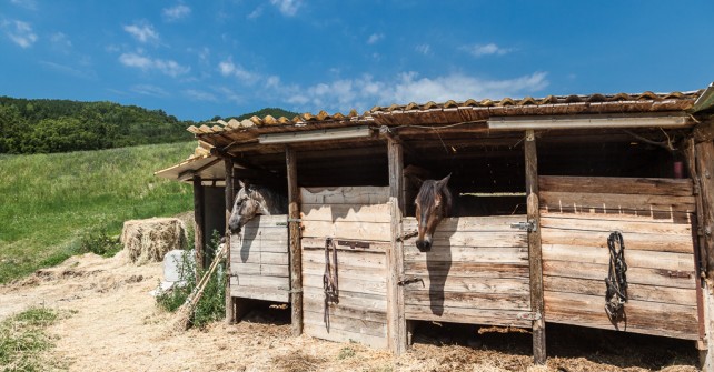 LA CERRETA - Sessione 1-096